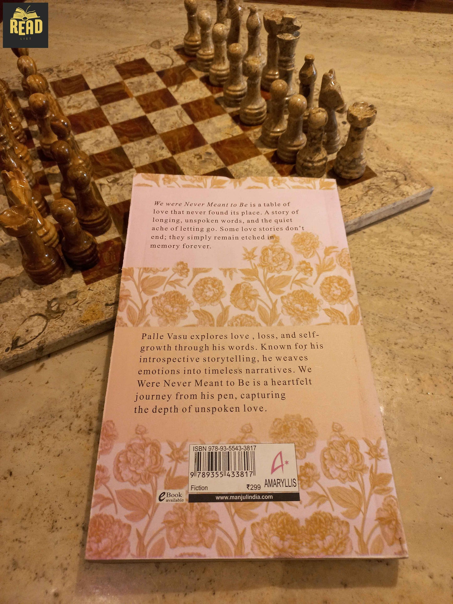 Back cover of We Were Never Meant to Be by Palle Vasu