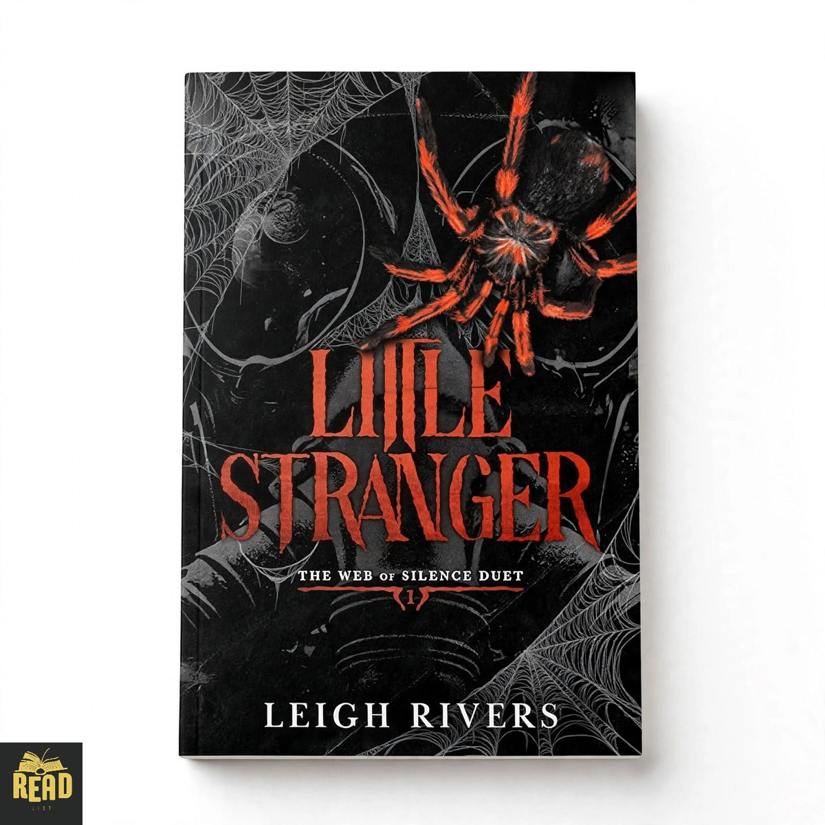 Little Stranger by Leigh Rivers, English dark romance novel