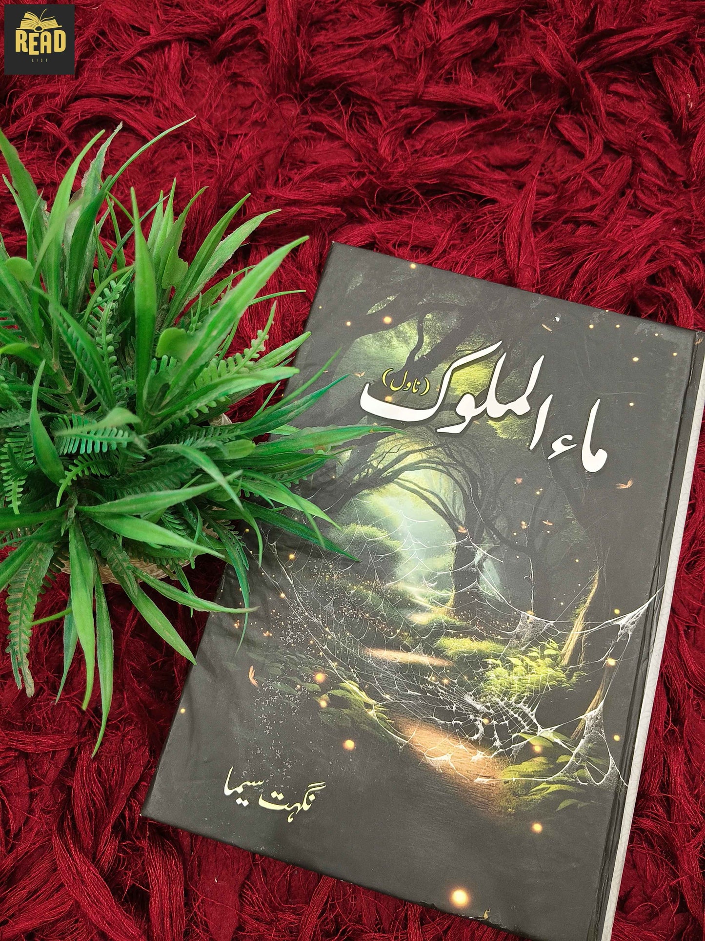 Maa-ul-Muluk (ماء الملوک) by Nighat Seema front cover