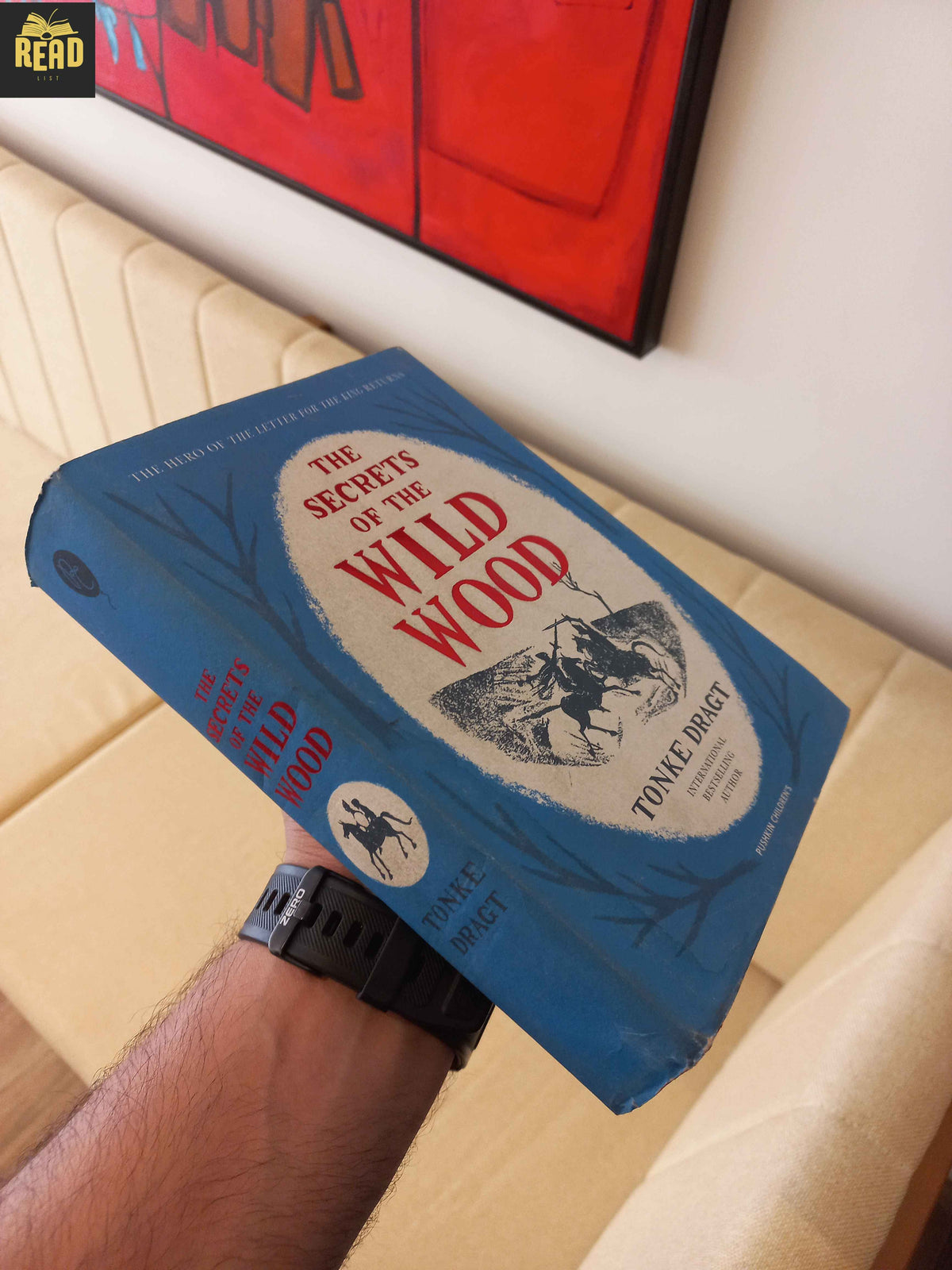 The Secrets of the Wild Wood by Tonke Dragt book spine