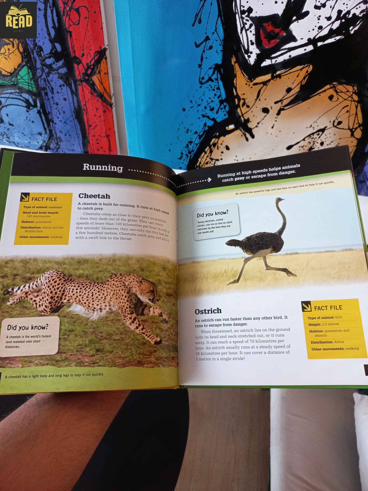 Inside pages of Movement (Animal Lives) by Kimberley Jane Pryor