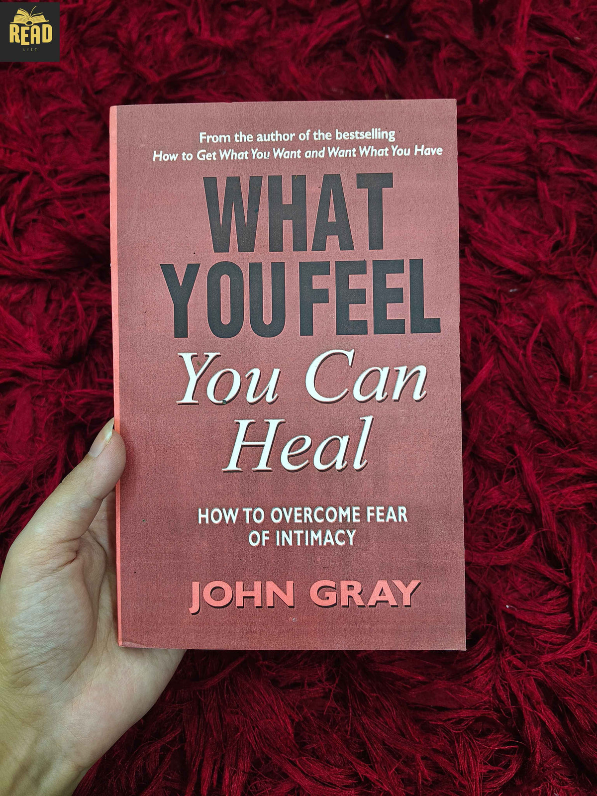 What You Feel You Can Heal by John Gray book front cover