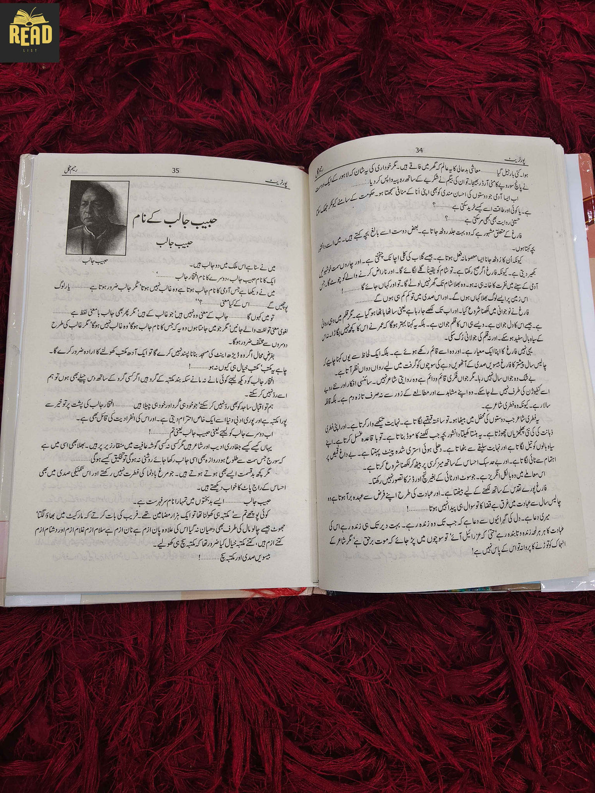 Portrait by Raheem Gul Urdu novel inside pages