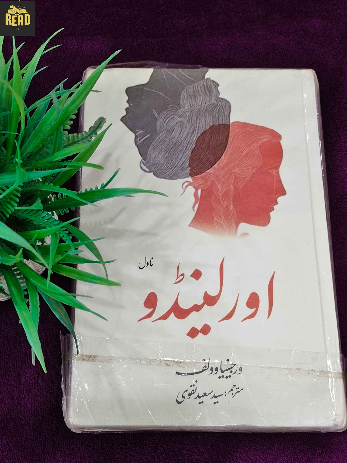 Orlando by Virginia Woolf Urdu novel front cover
