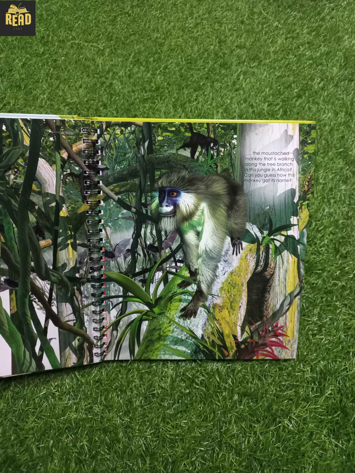 Jungle interactive book inside page with see through pages and fun reveals