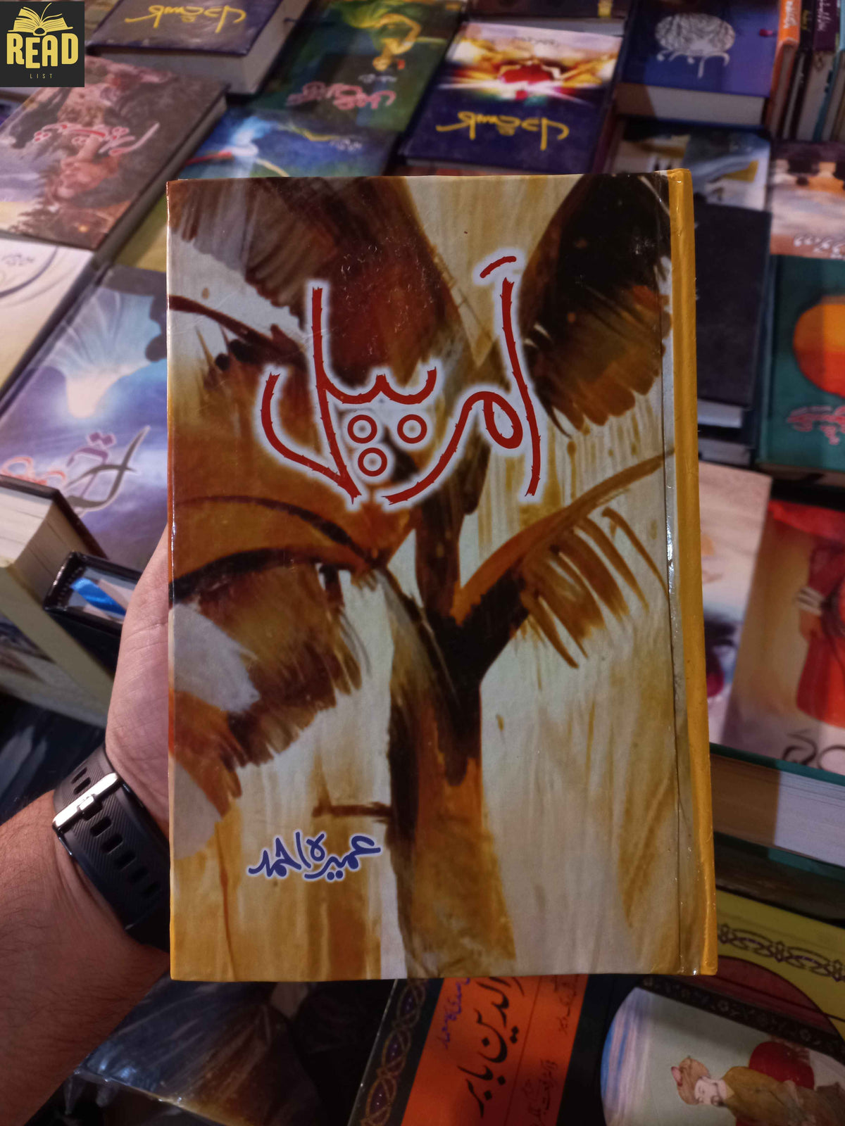 Amarbail Urdu novel by Umera Ahmed front cover